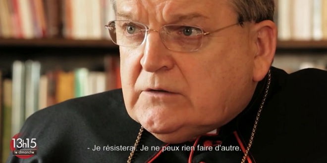 Why are so many “Catholic” influencers targeting Cardinal Burke?