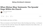 Screenshot 2025-07-11 at 02-07-41 When Wolves Wear Vestments The Synodal Siege Within the Church